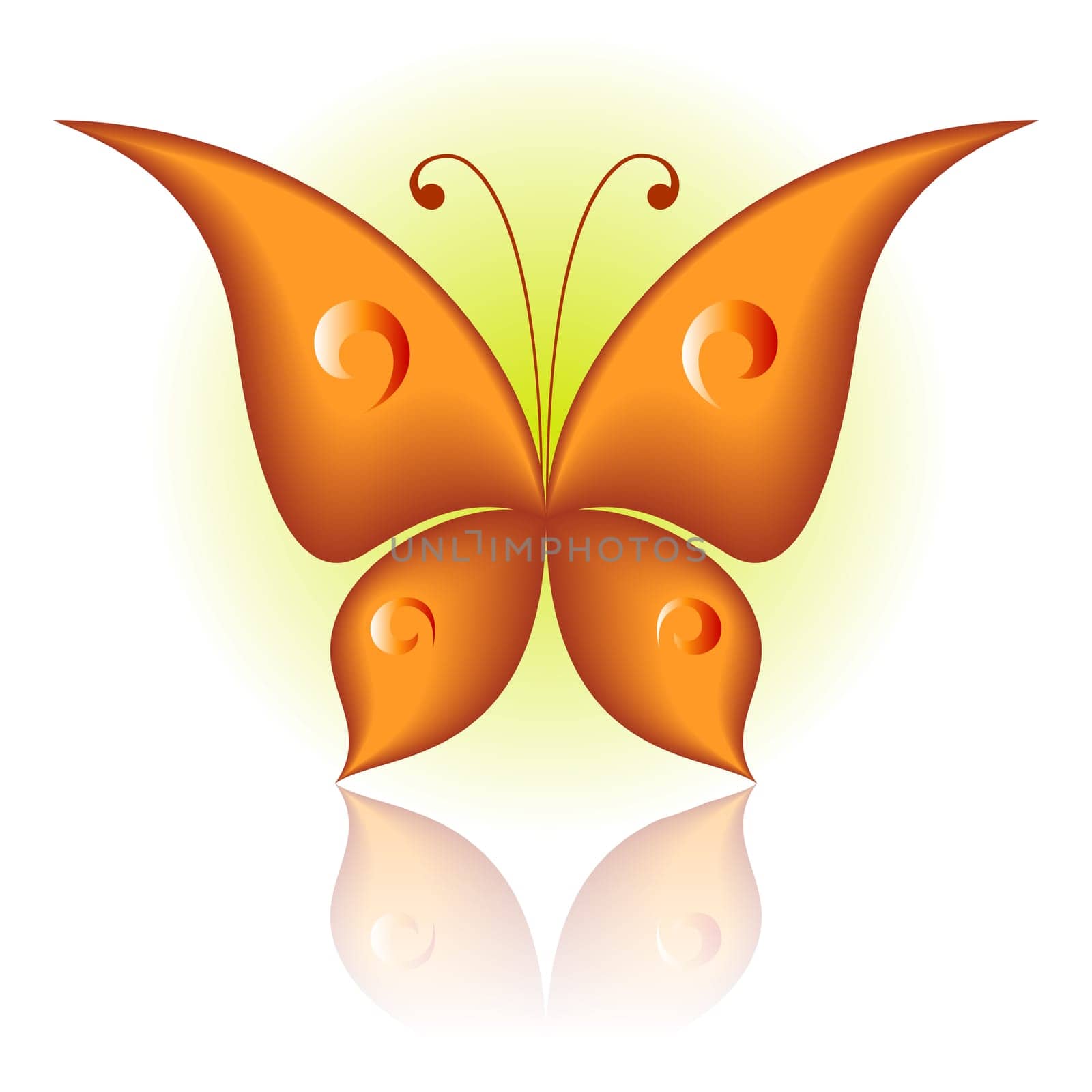 Vector illustration of orange icon simply butterfly