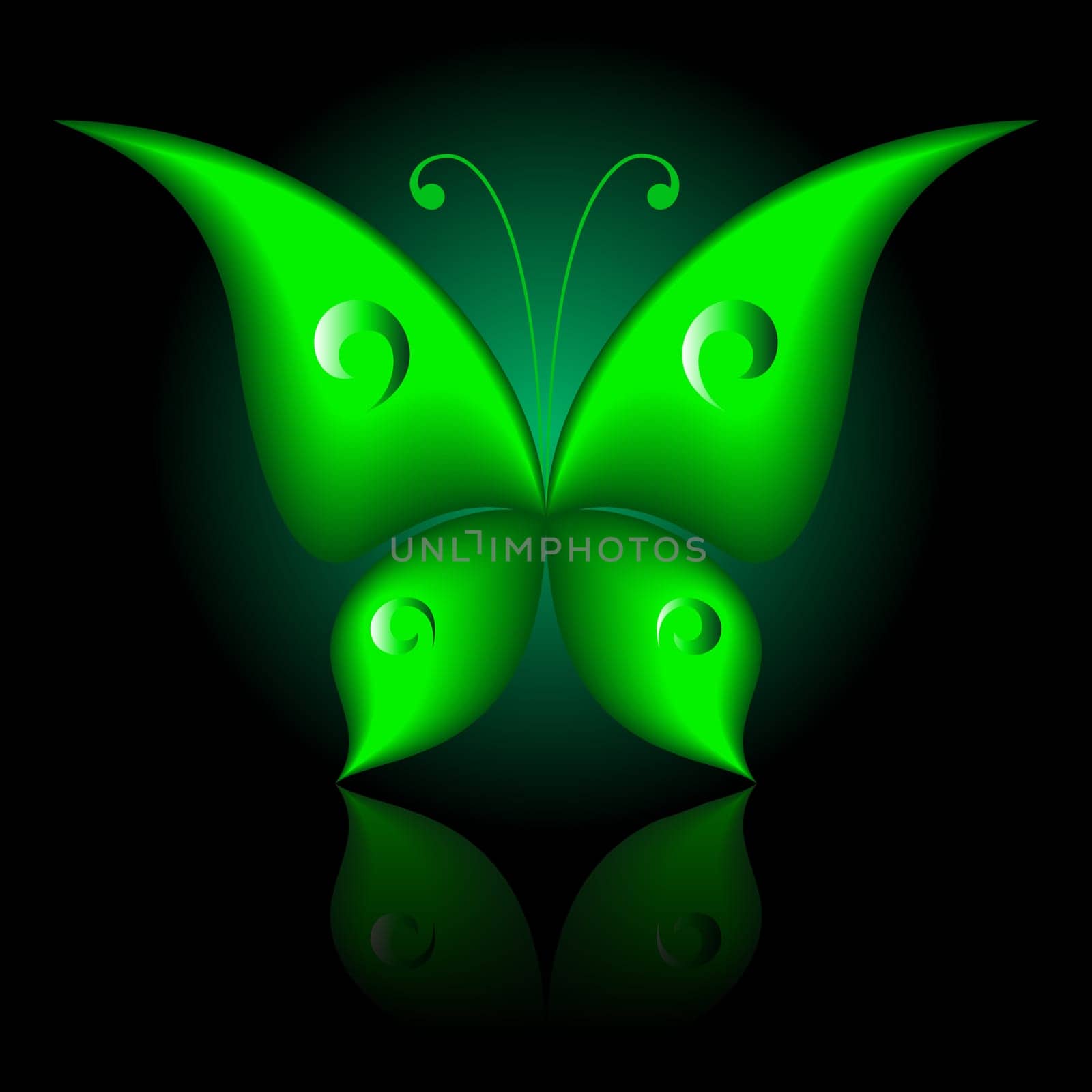 Vector illustration of green icon simply butterfly