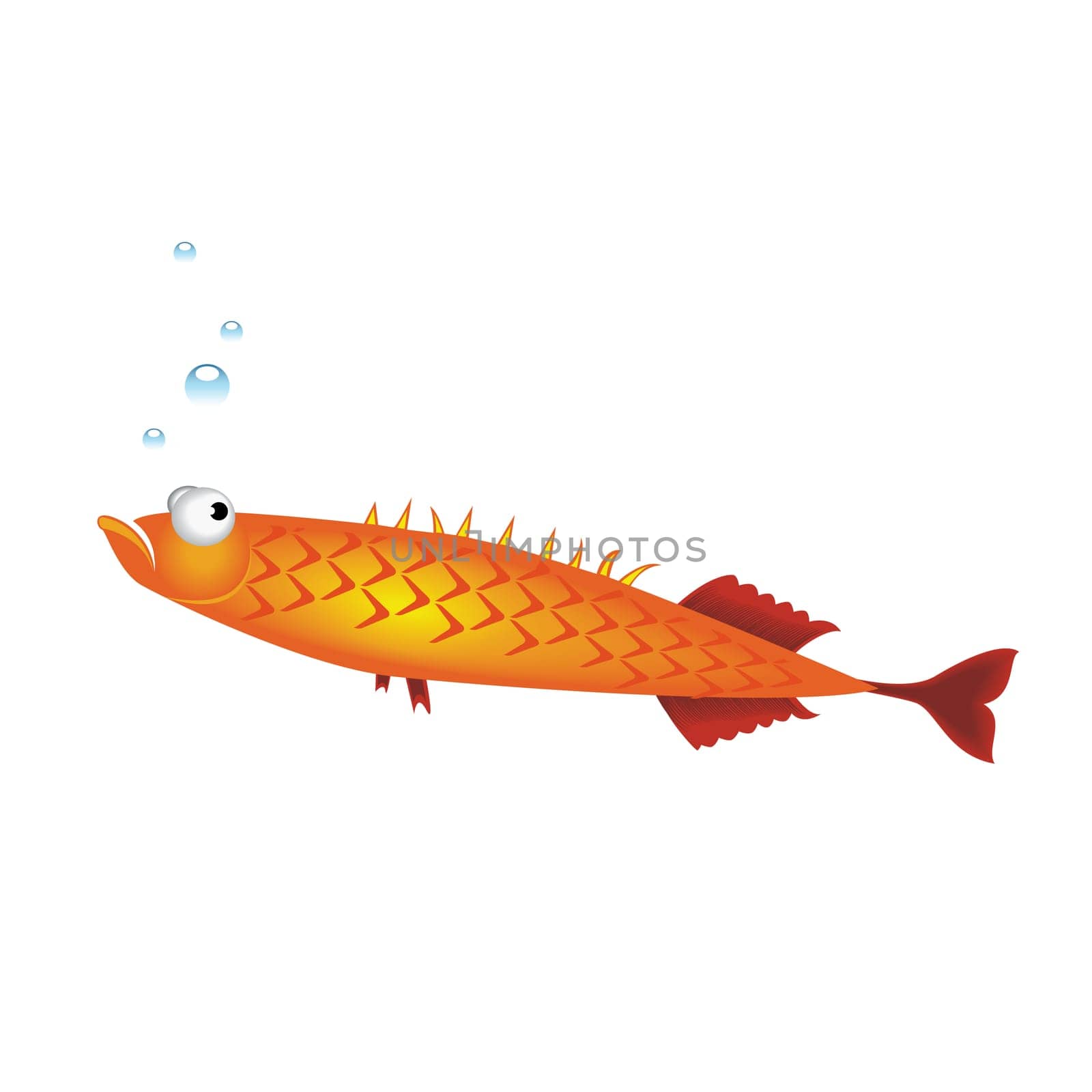 Vector illustration of small fish on white background