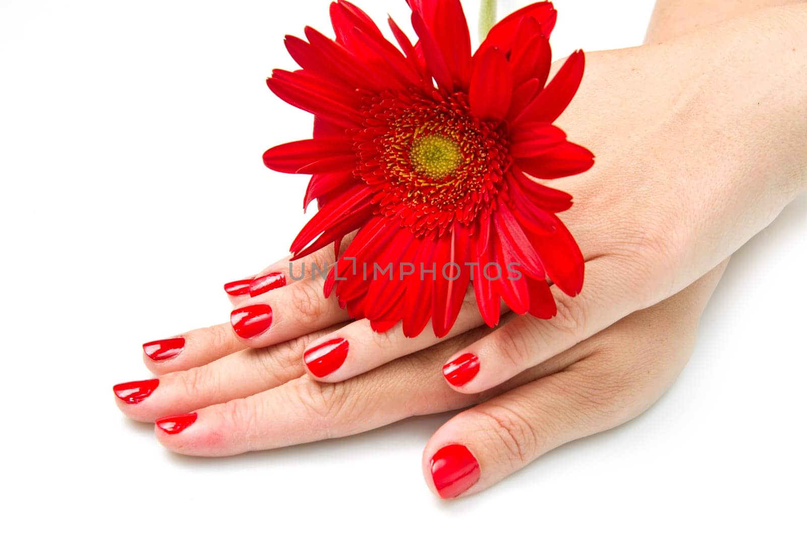 Woman hands with red manicure and red flower