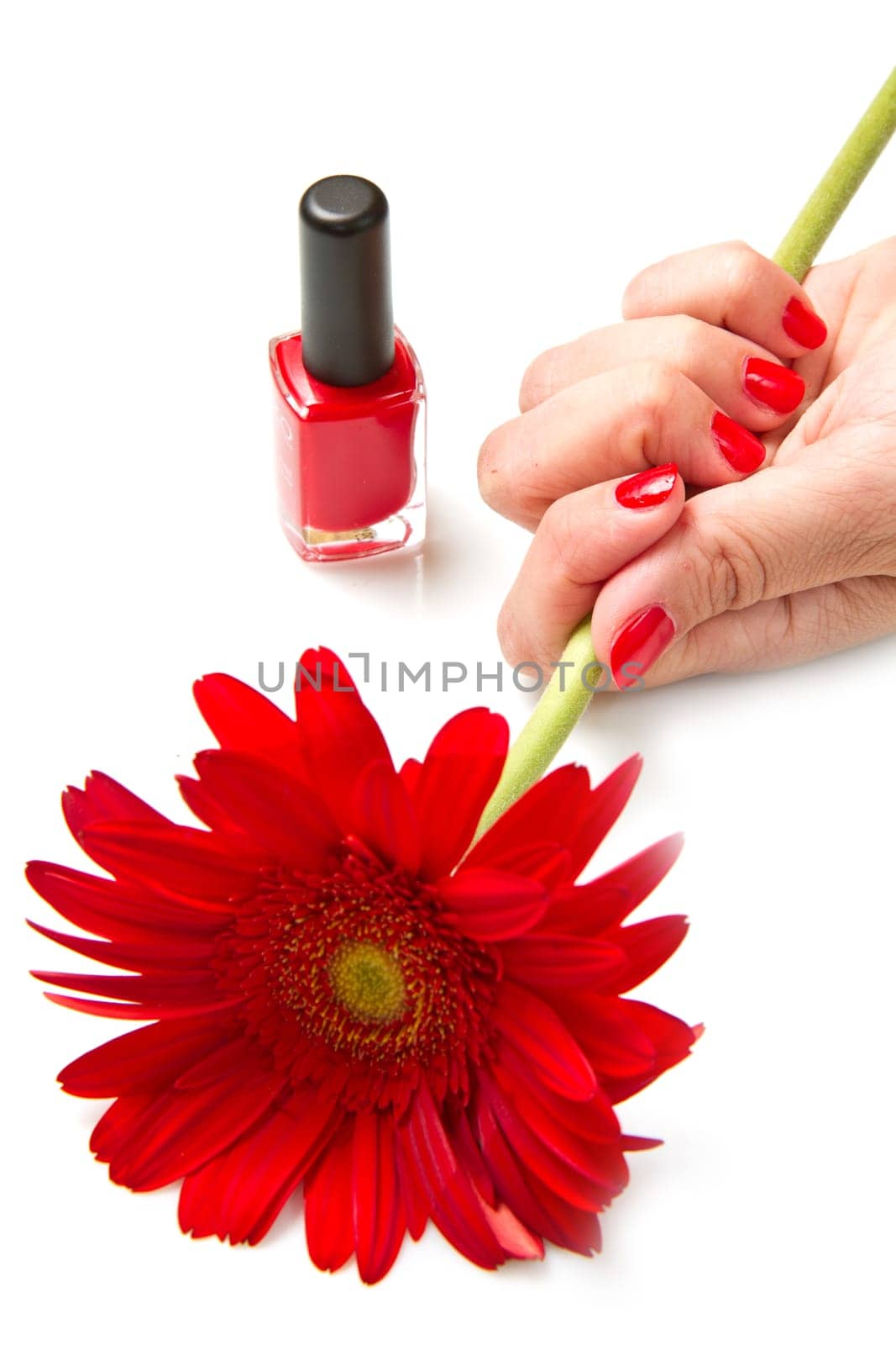 Woman hands with red manicure and red flower