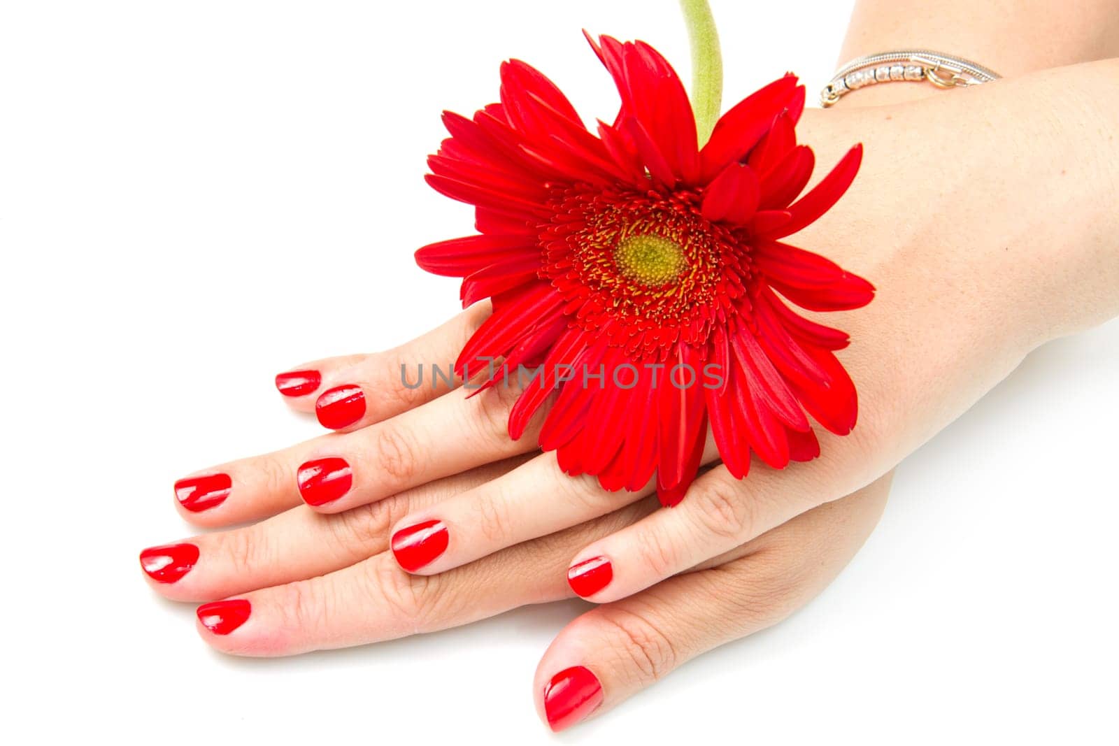 Woman hands with red manicure and red flower