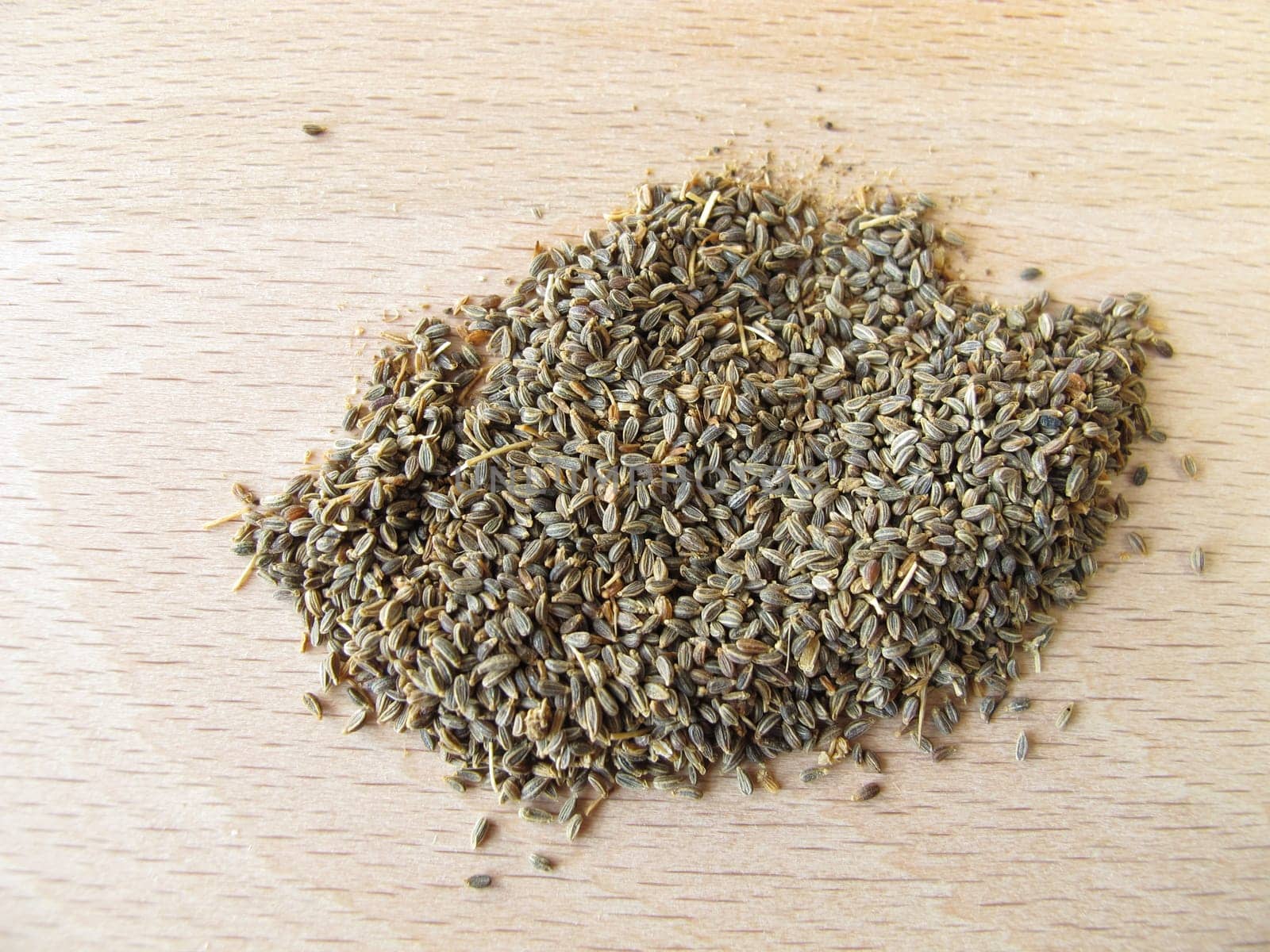Ammi-visnaga- fruits,Ammeos visnagae fructus