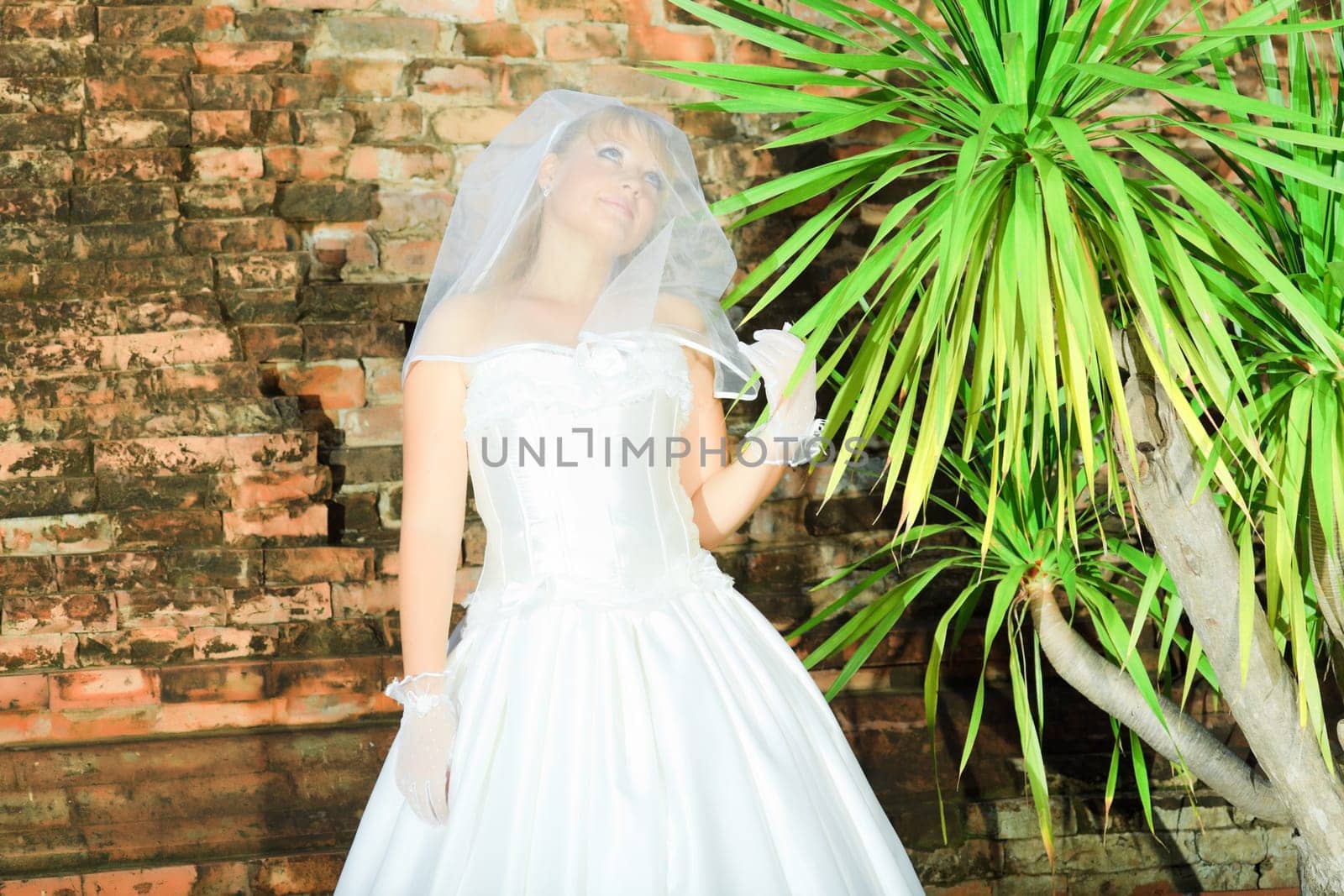 Beautiful young bride in wedding dress outdoor