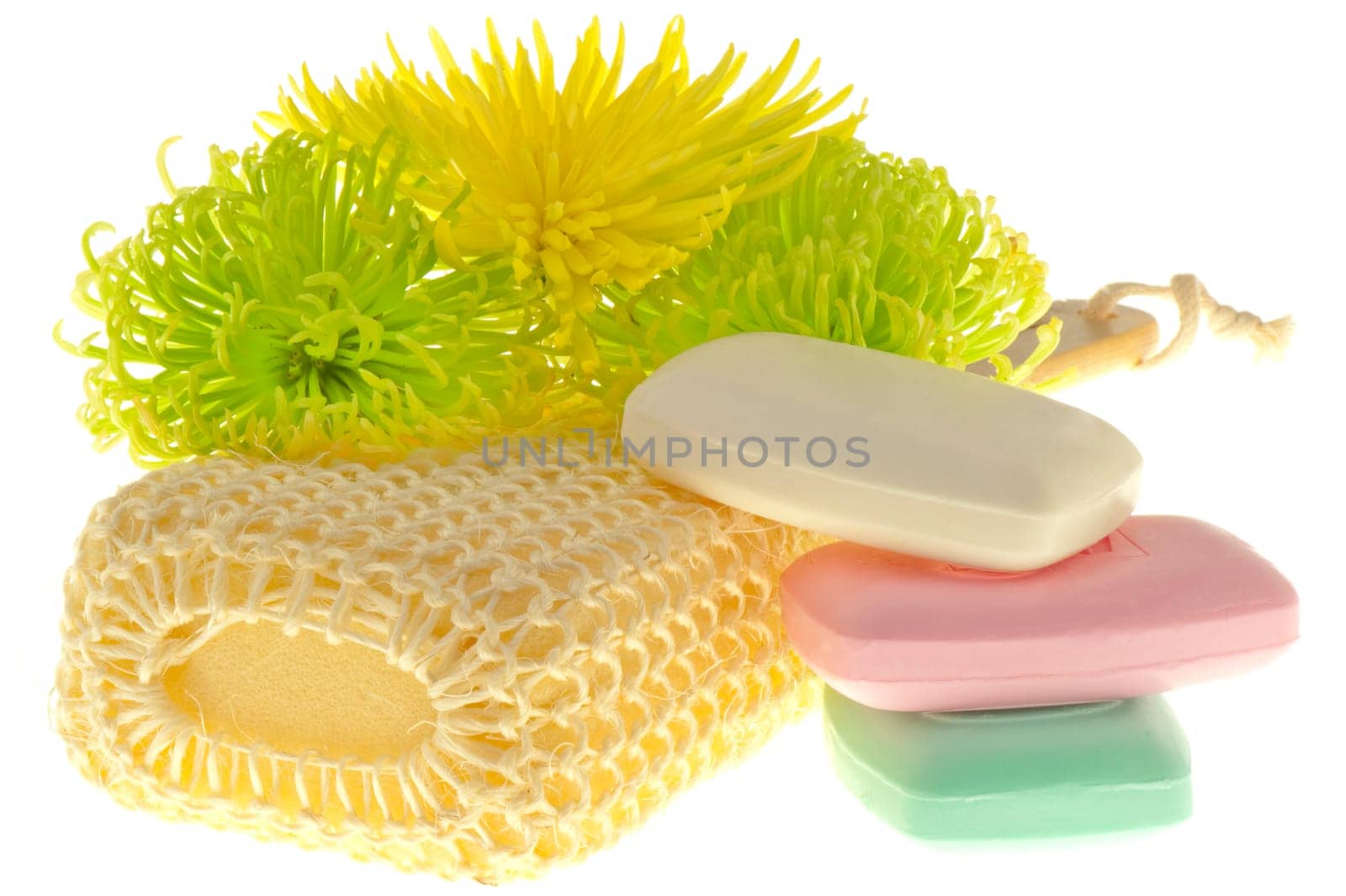 cleaning products of the body on a white background
