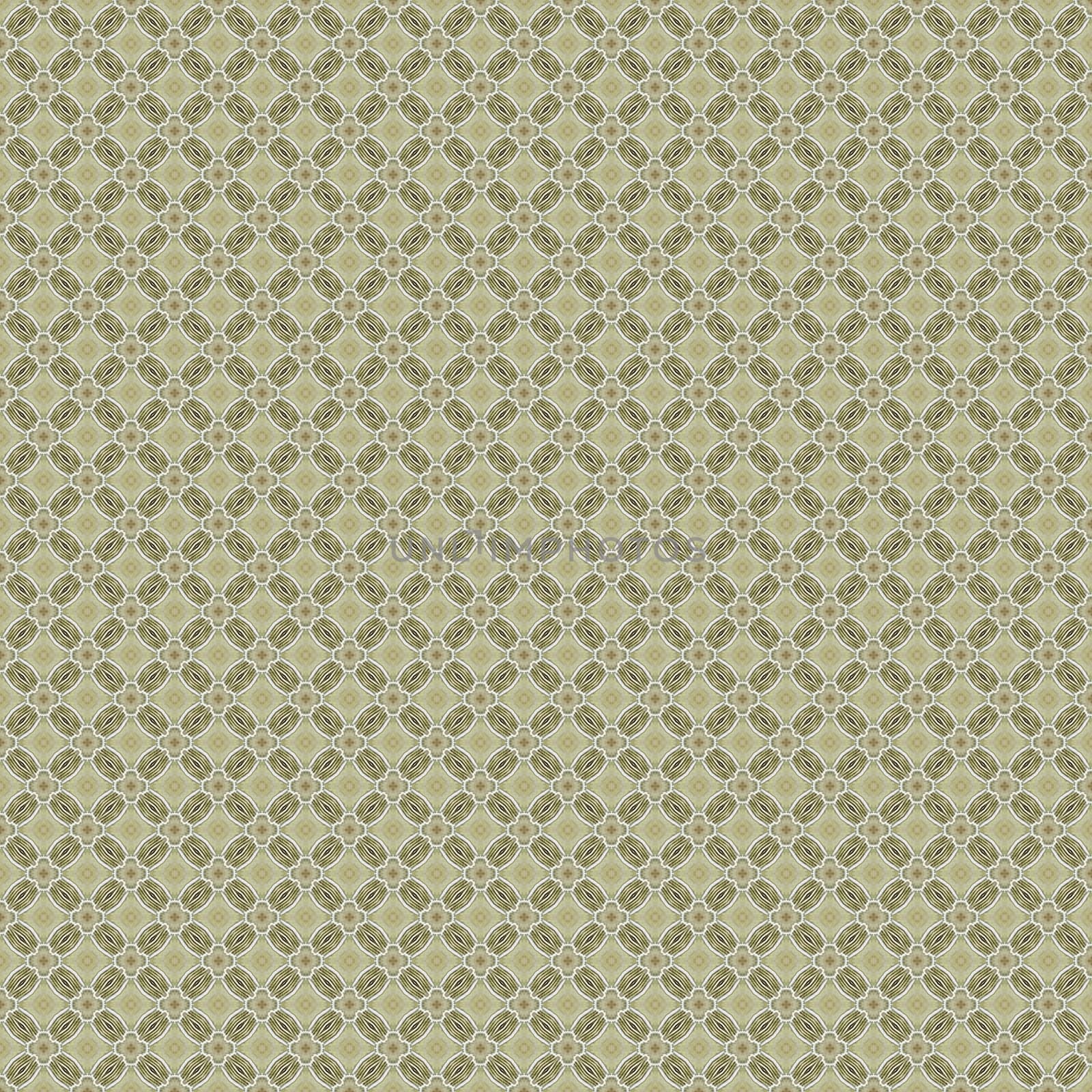 the vintage shabby background with classy patterns