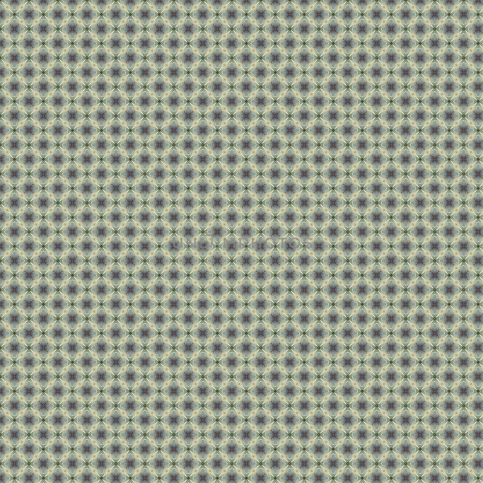 the vintage shabby background with classy patterns