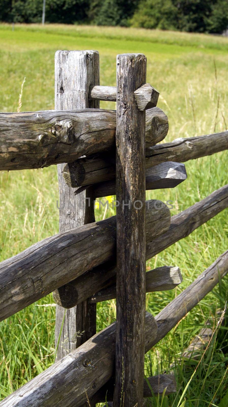 A typical fence in South Tyrol,made entirely of larch wood