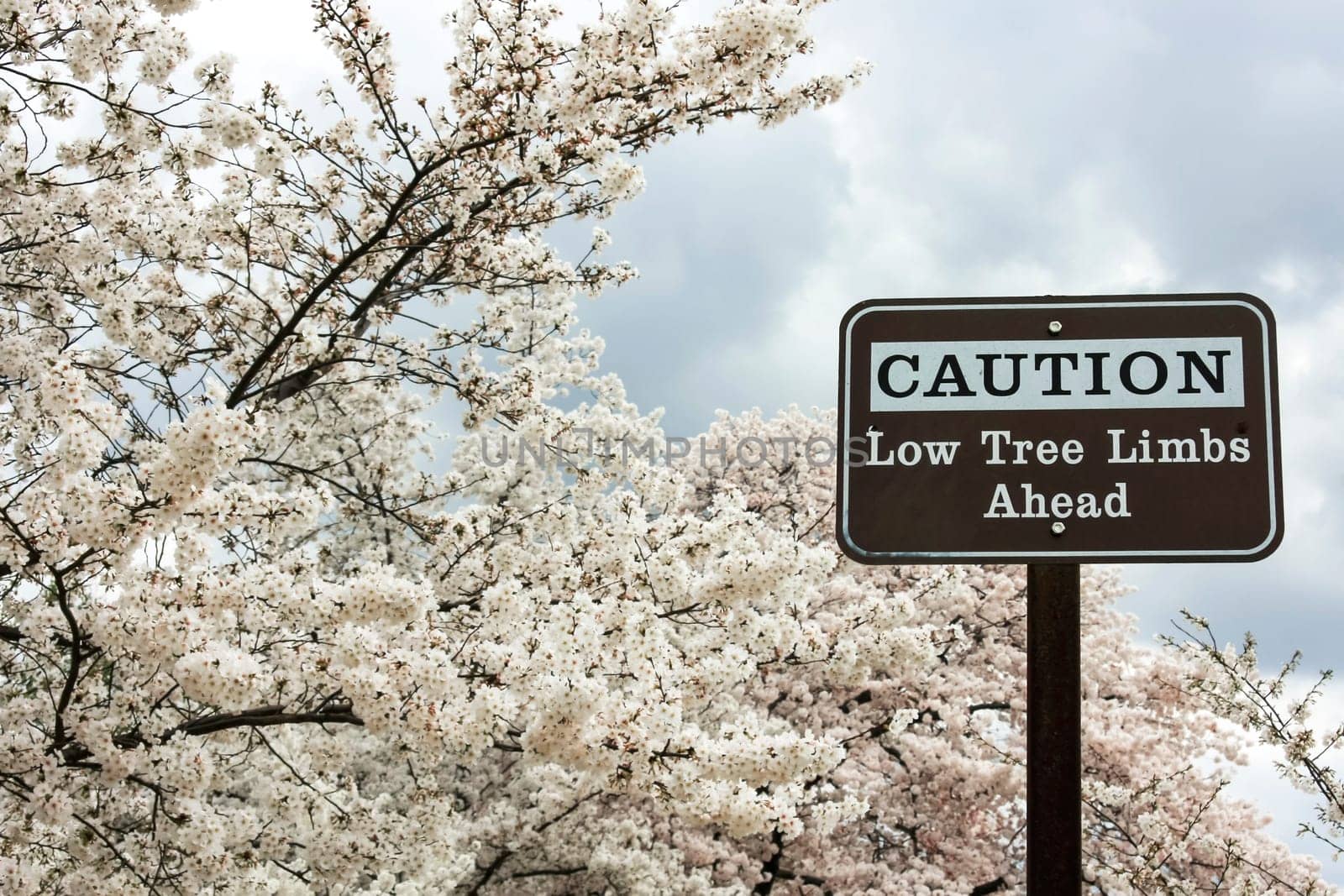 Sign warning of hanging branches