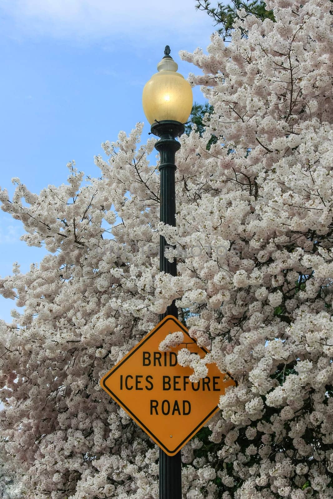Sign bridge iced up in front of road