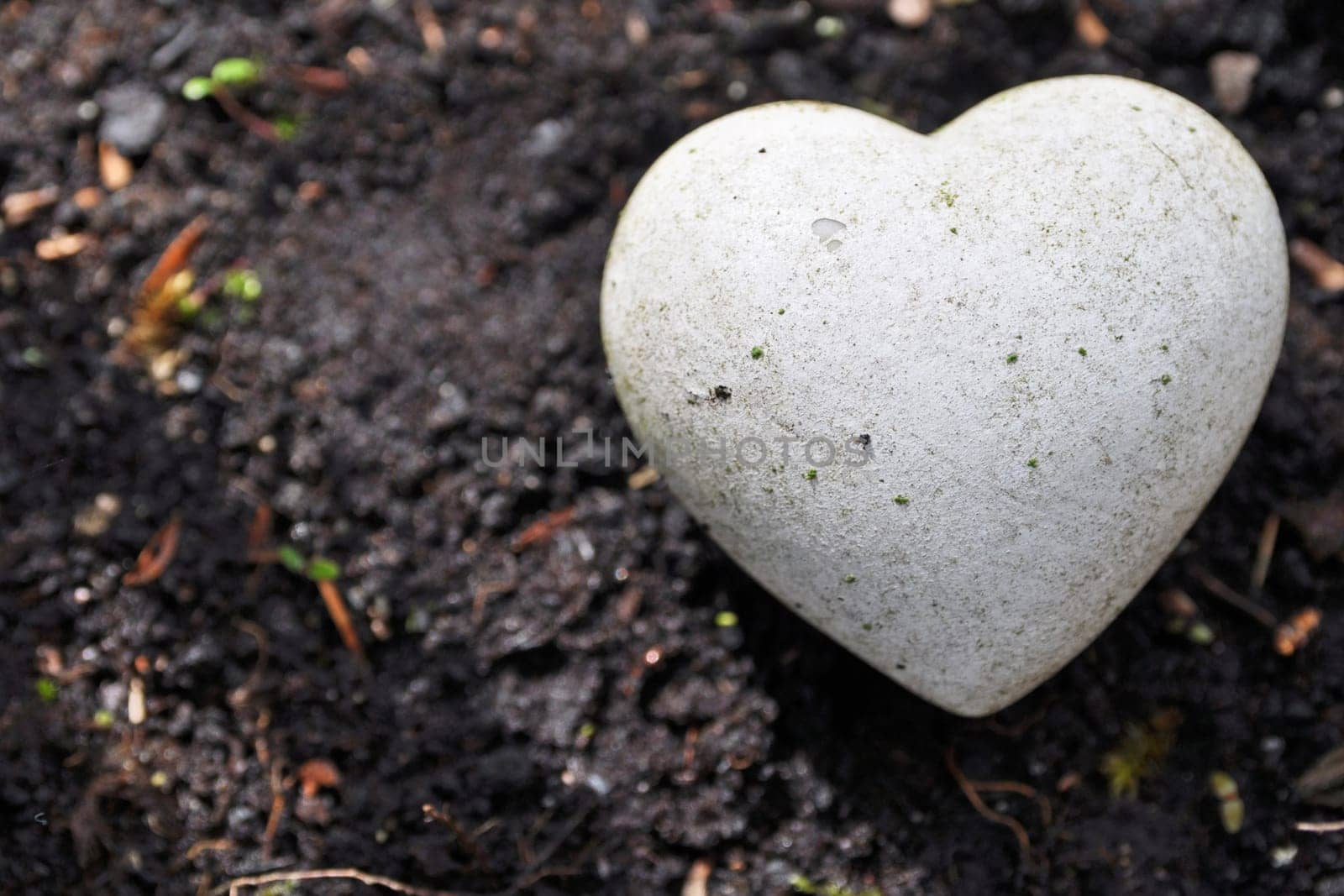 Stone Heart
