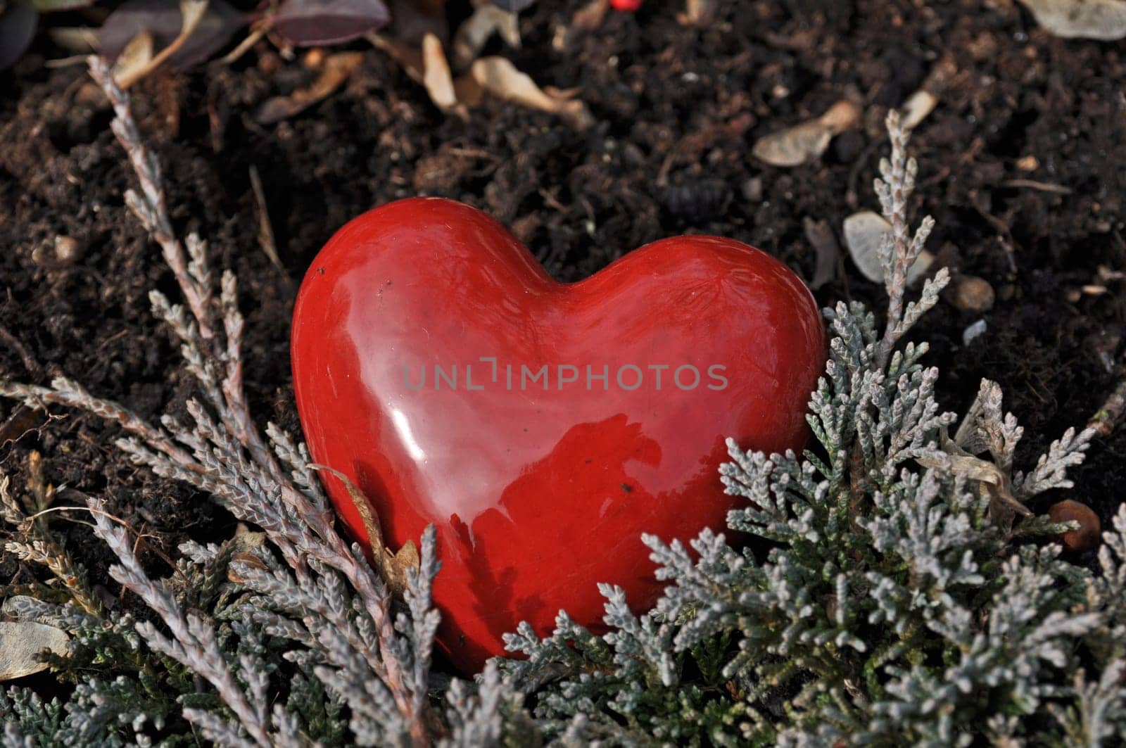 Stone Heart