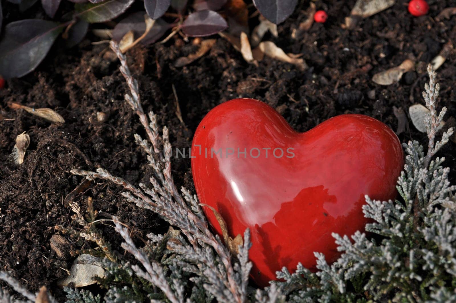 Stone Heart
