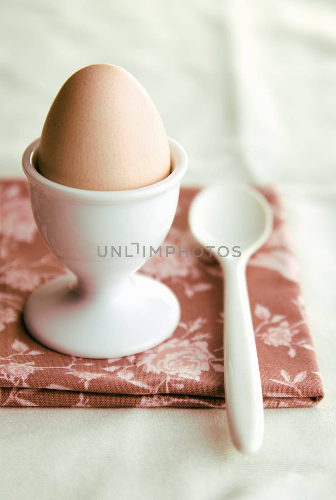 Whole boiled chicken egg for a healthy breakfast served in a white ceramic eggcup