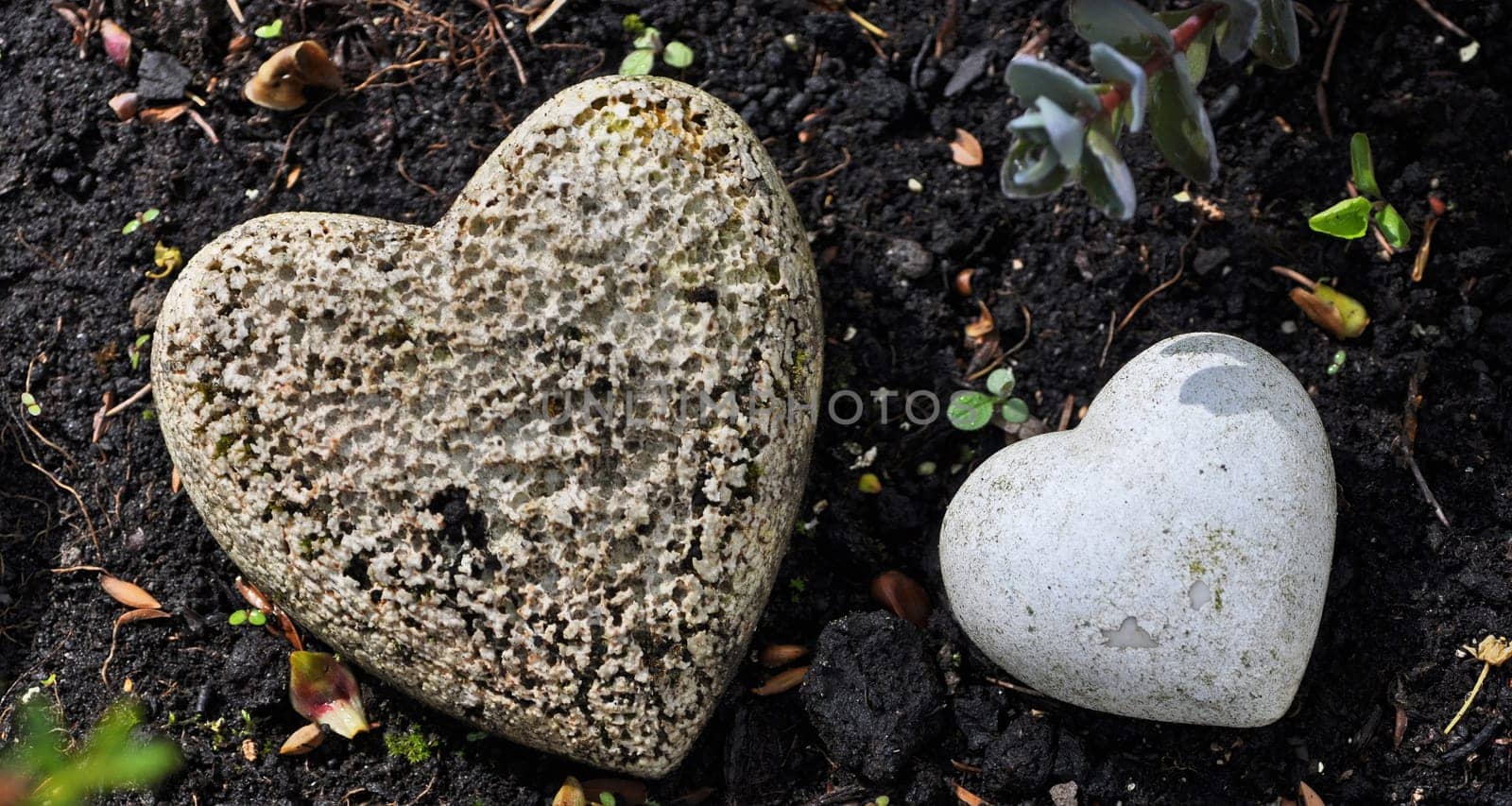Stone Heart