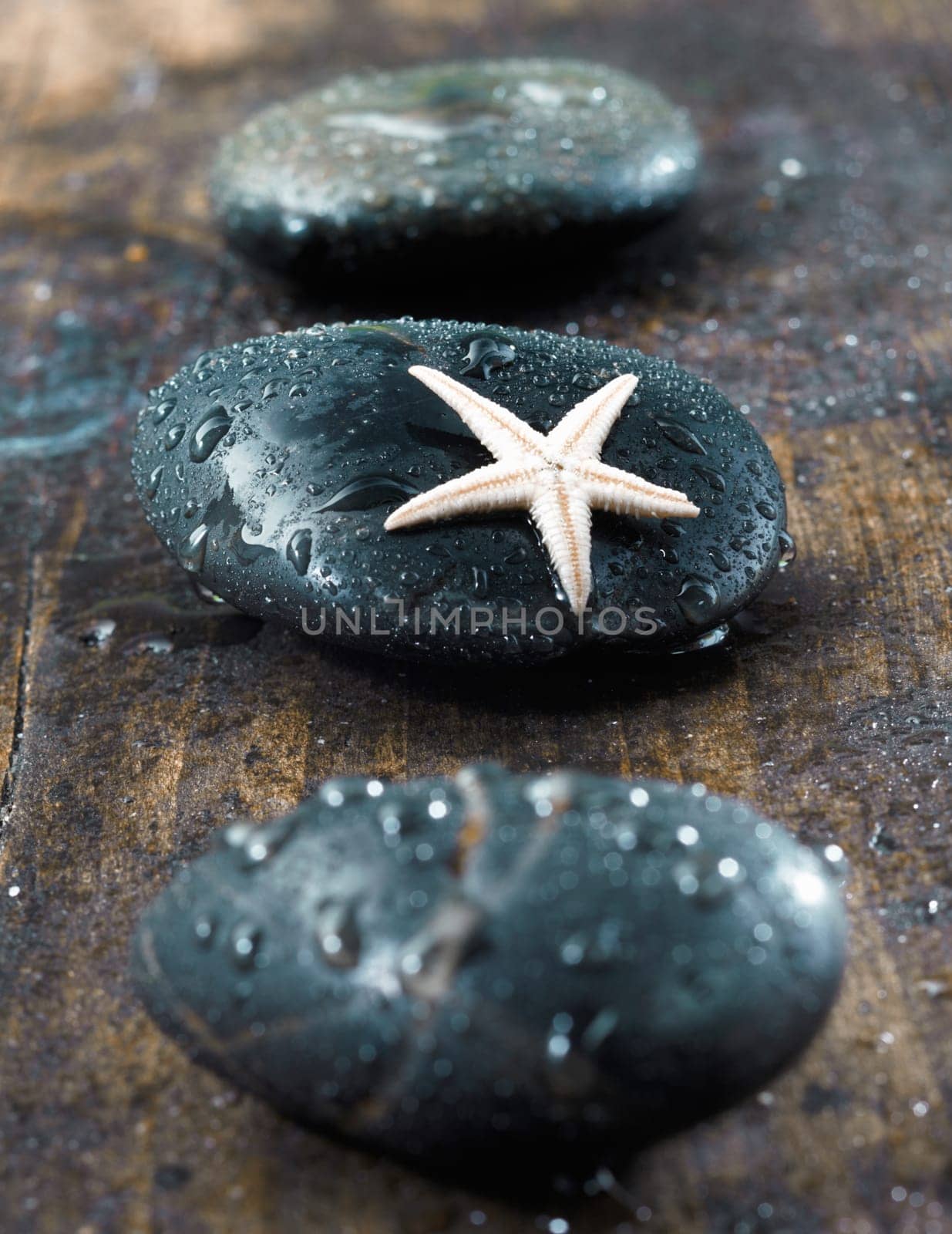 Smooth black massage stones covered in water droplets with a starfish conceptual of marine based therapy at a spa