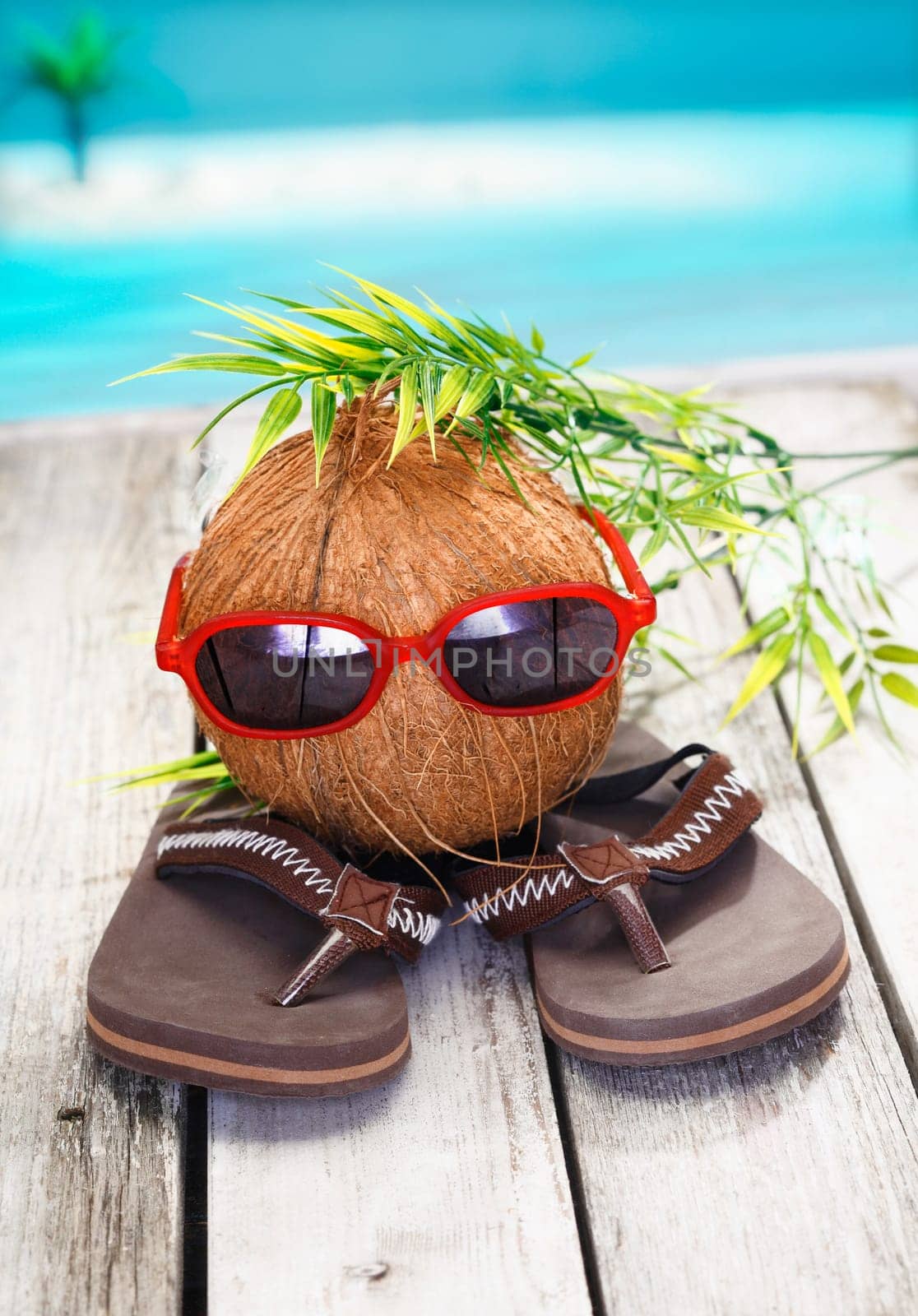 Humorous spoof of a cool coconut adventurer with a leafy hairstyle and trendy red sunglasses