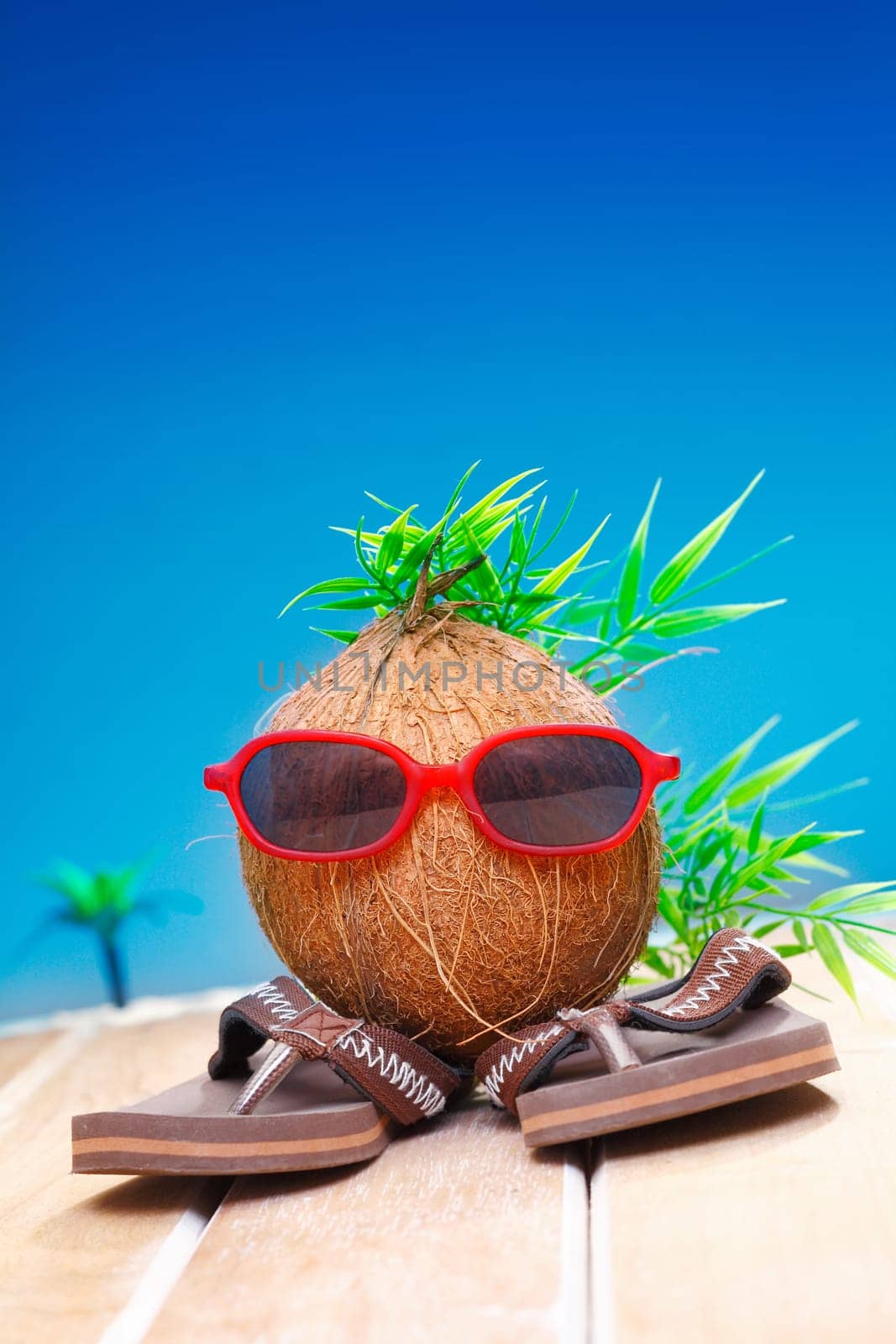 Trendy coconut with foliage hairstyle and natty red sunglasses wearing slip slops as he goes on his travels