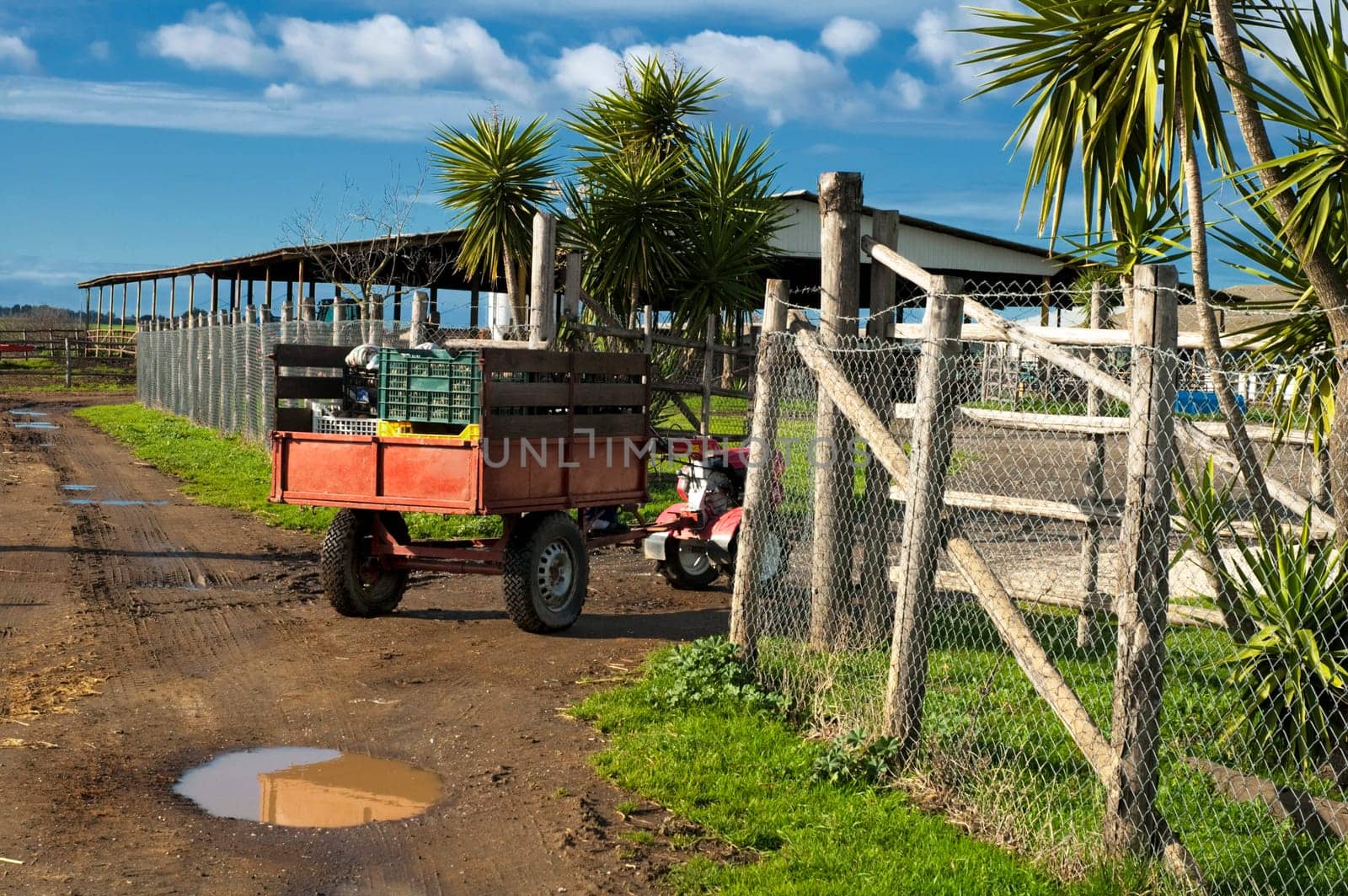 small tractor with trolley within a farm
