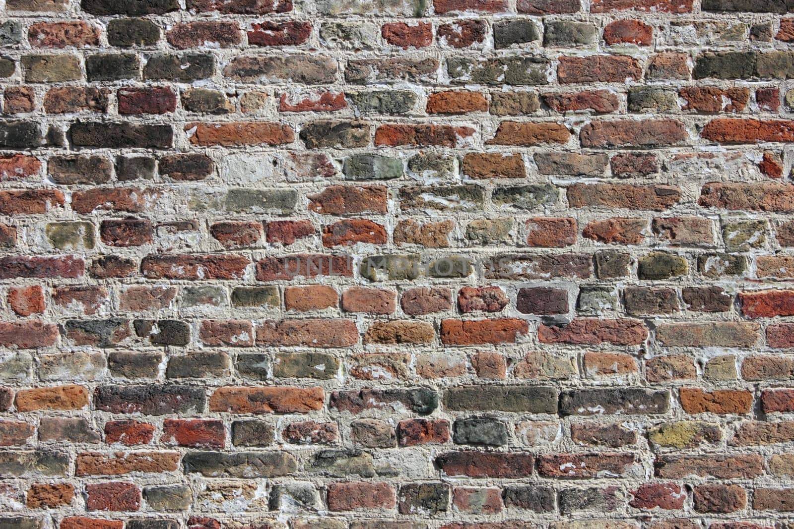 Colorful Bricks Wall in Bruges, Belguim.
