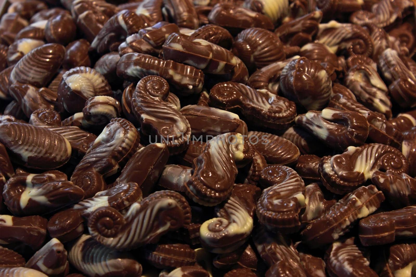 Belgium chocolate theme - sea creatures from chocolate in a choco shop.