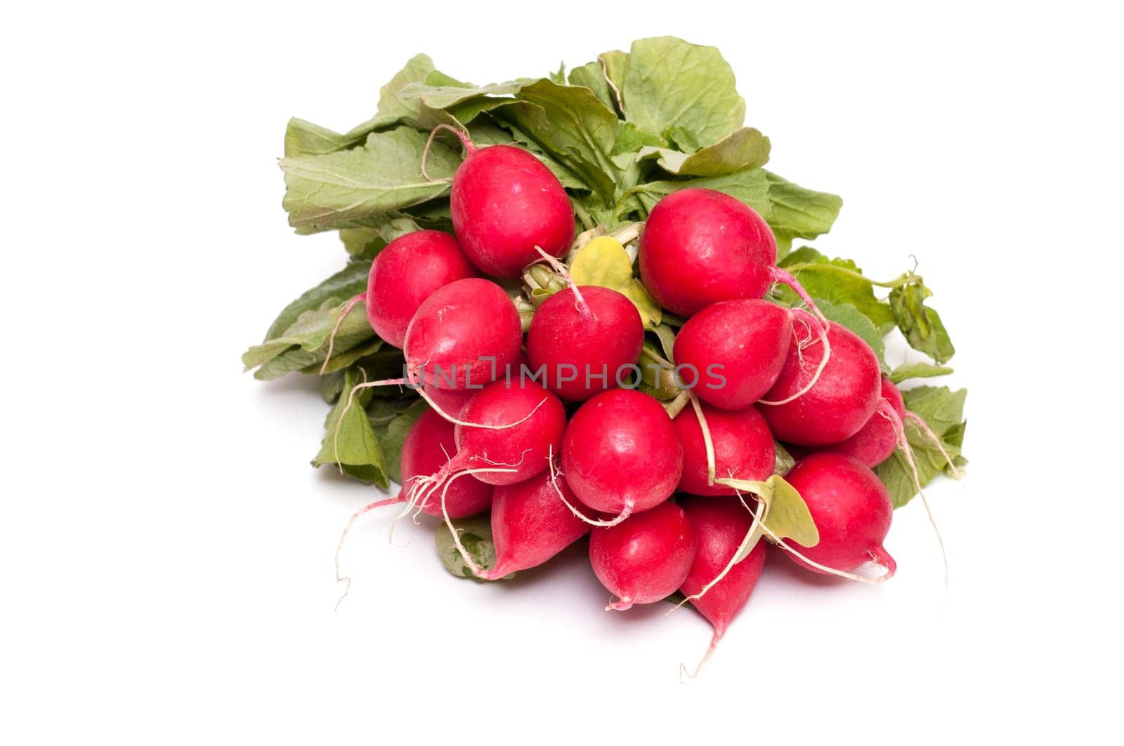 A bunch of red radishes on a white background
