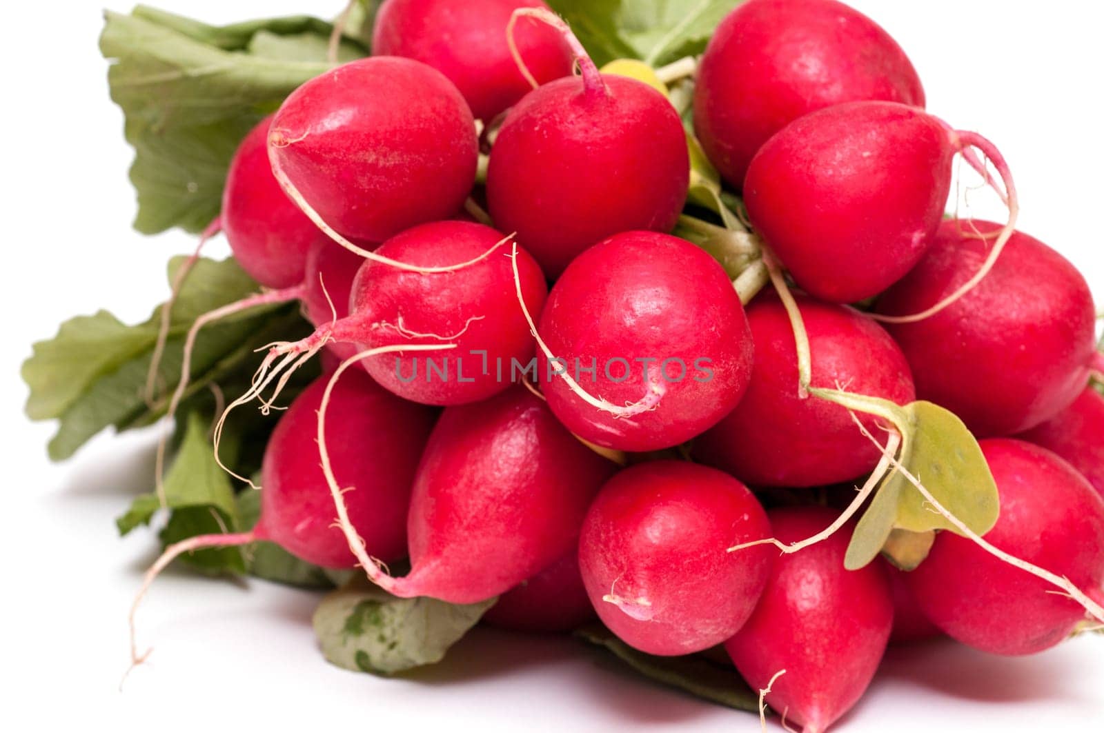 Close-up against white background of red radishes