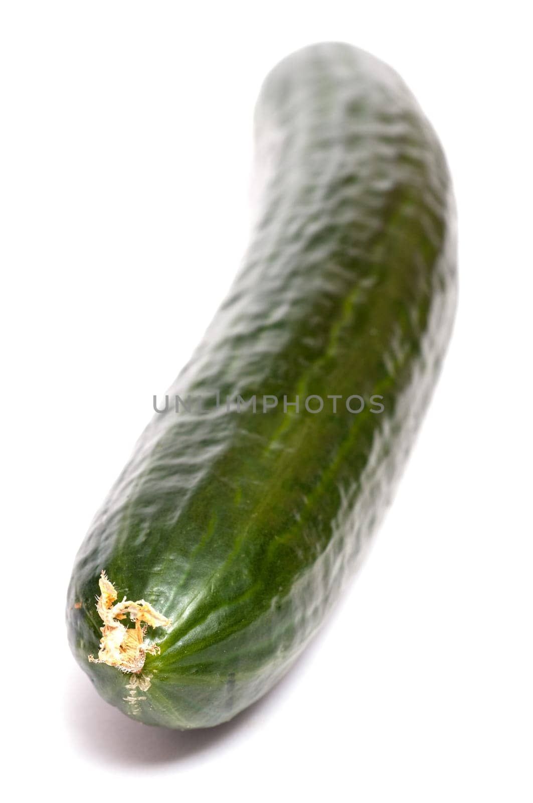 Green cucumber in portrait mode on white background