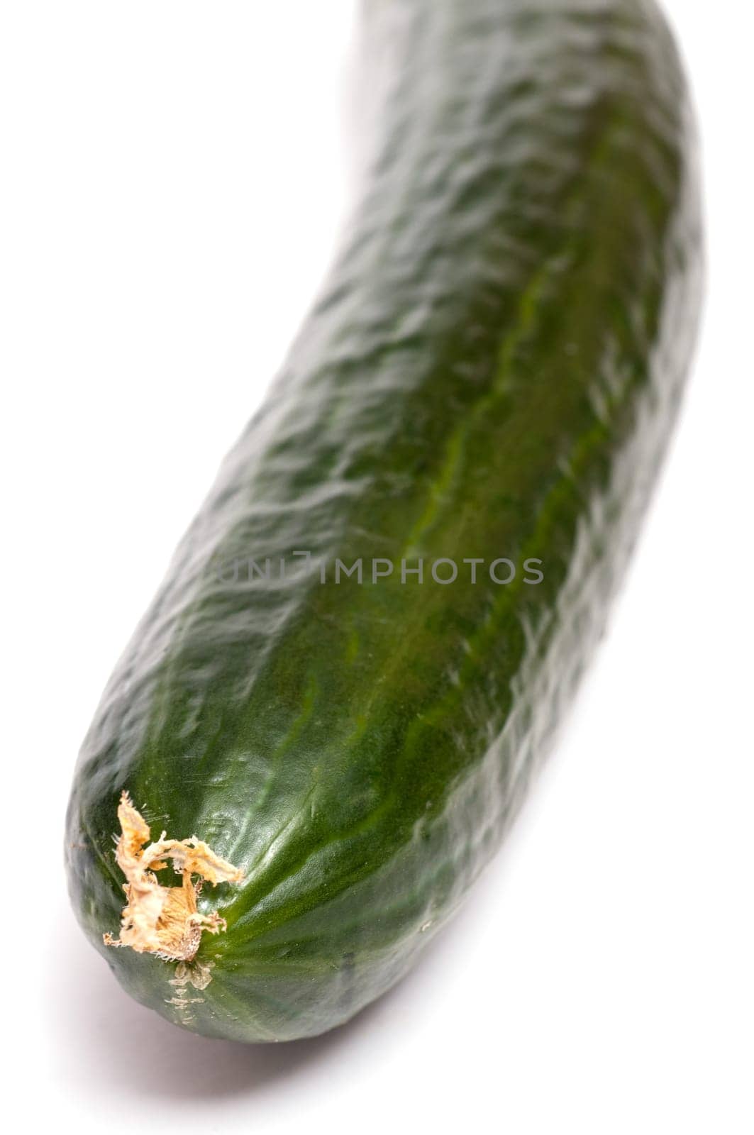 Close-up of a green cucumber on white background