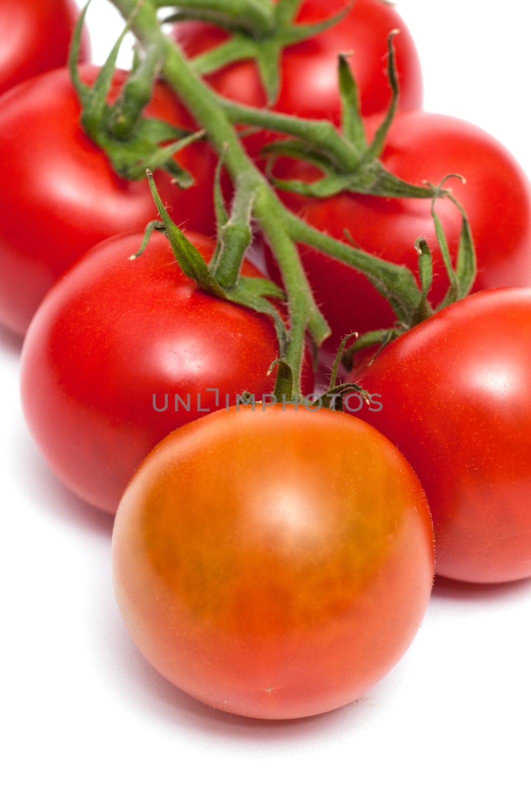 Close-up of a panicle with red tomatoes