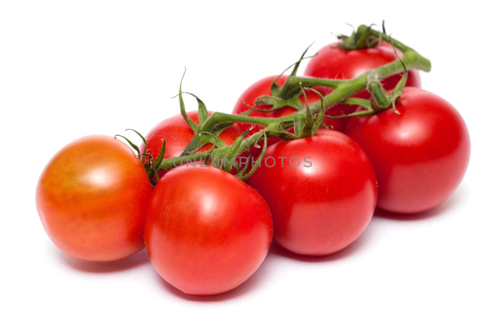 A panicle with red tomatoes on a white background