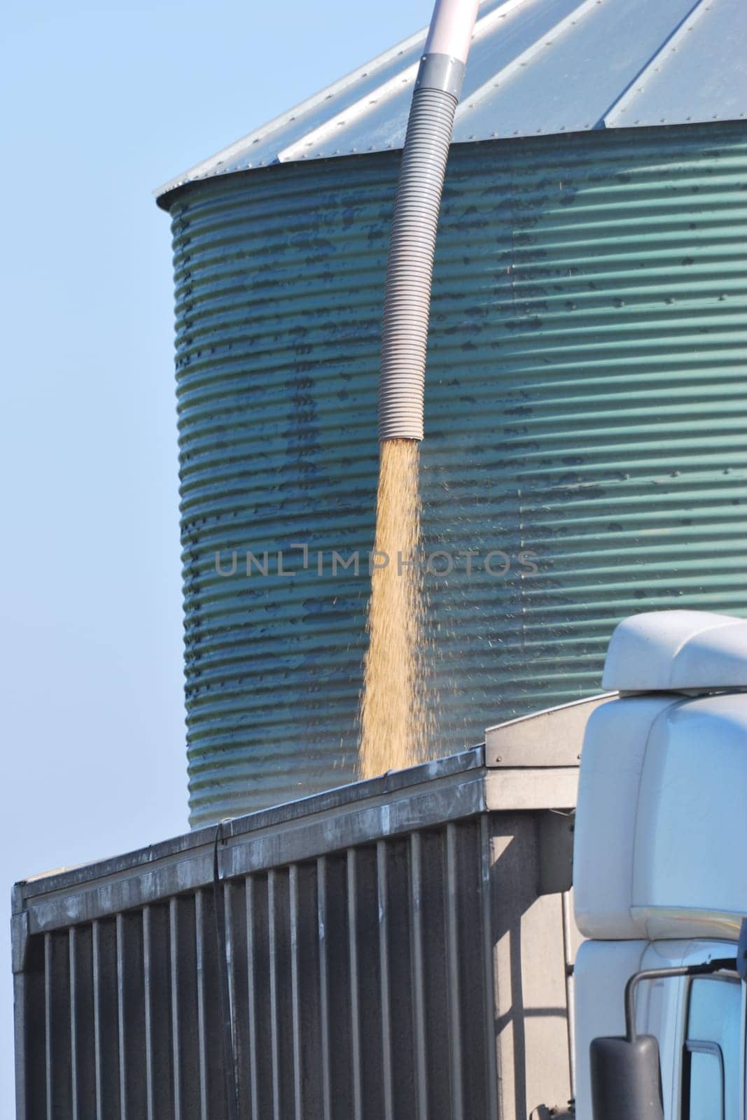 lorry filling with grain from silo