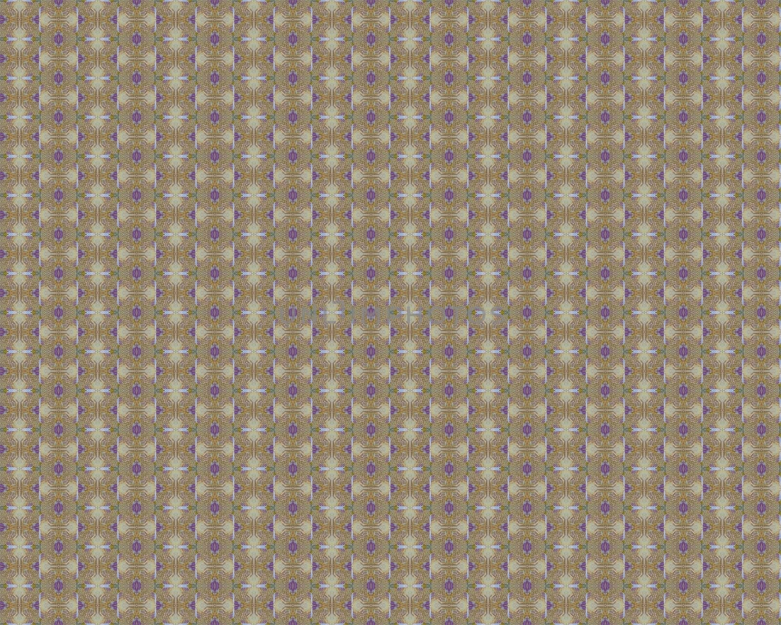 the vintage shabby background with classy patterns