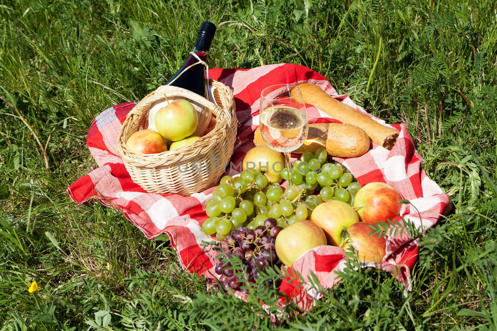 Outdoor picnic,tablecloth with snack on a meadow