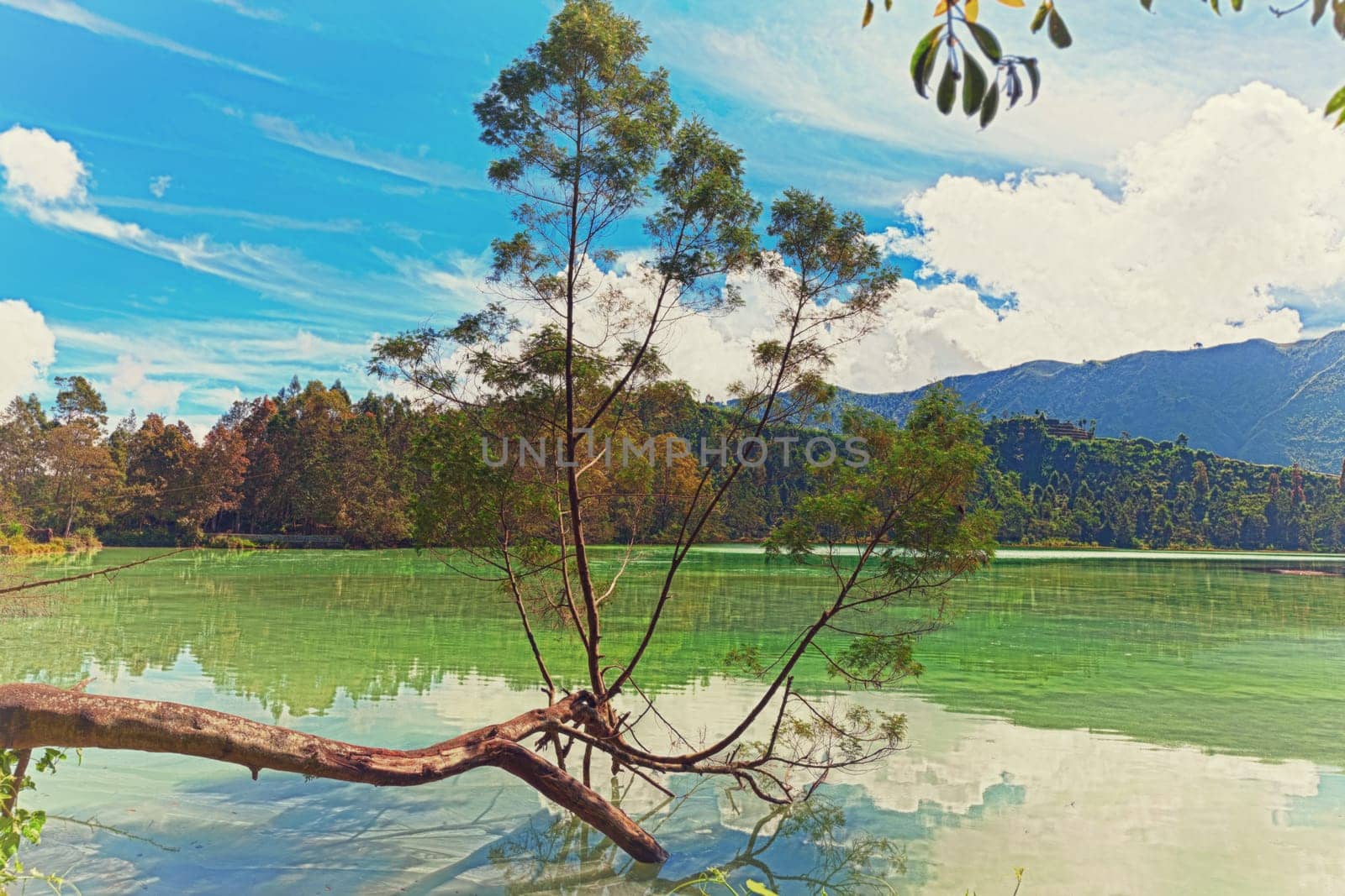 Volcanic lake Telaga Warna at plateau Dieng
