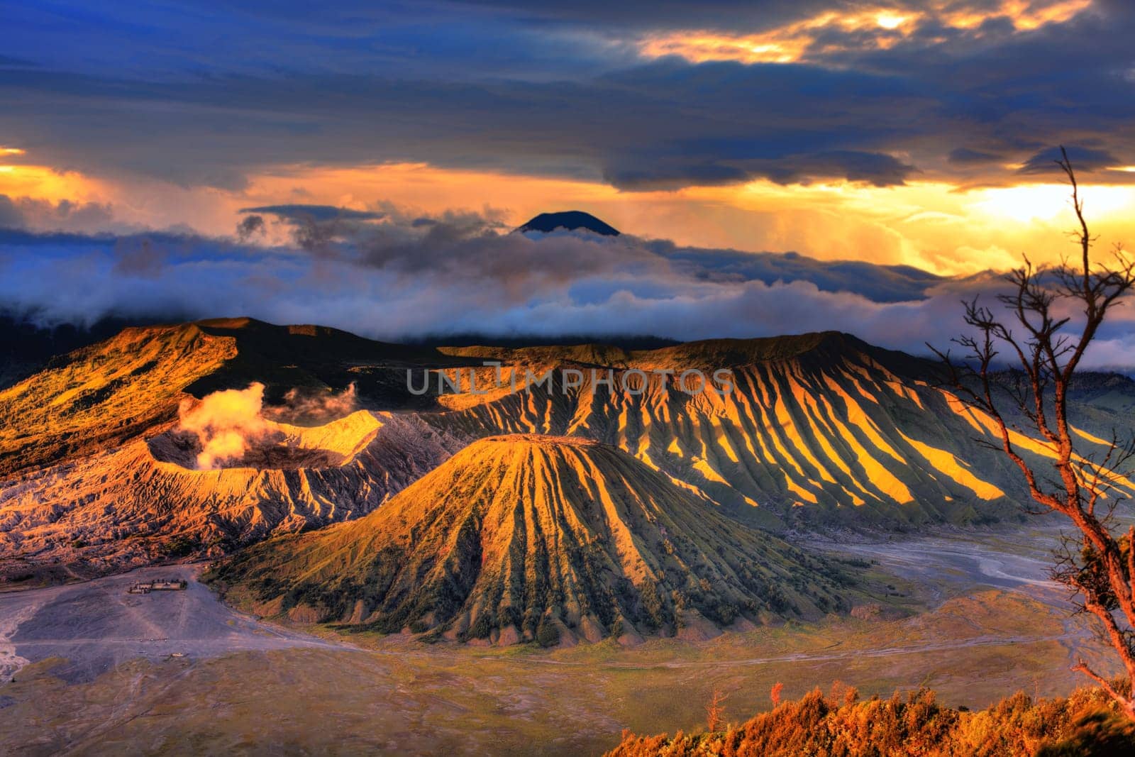 Bromo Tengger Semeru national park. Java. Indonesia