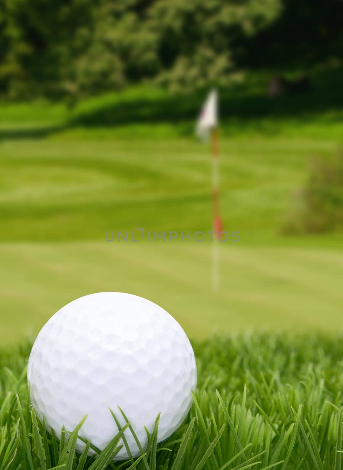 Golf Ball in Grass -  Green With Flag in Background