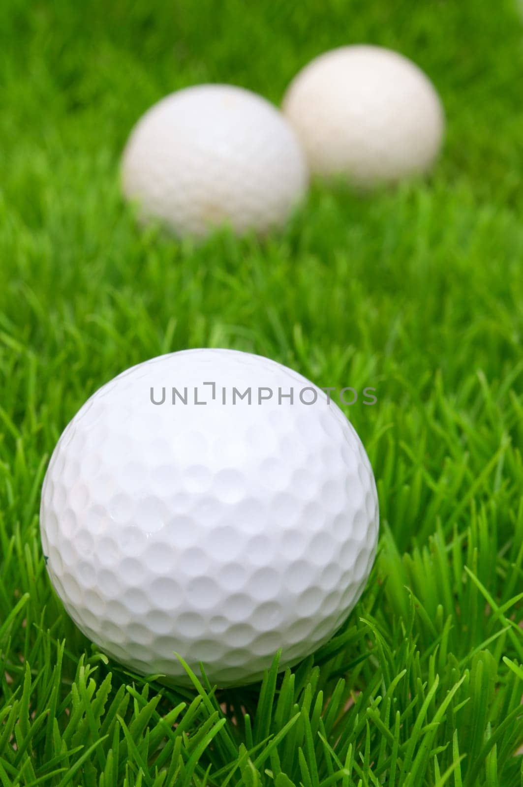 Group of Golf Balls in Green Grass