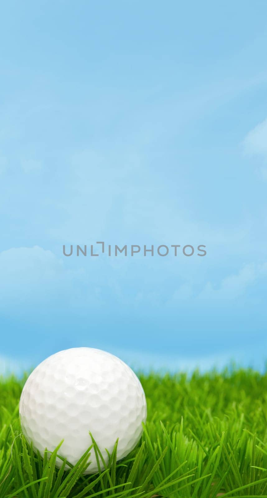 Golf Ball in Grass and Blue Sky