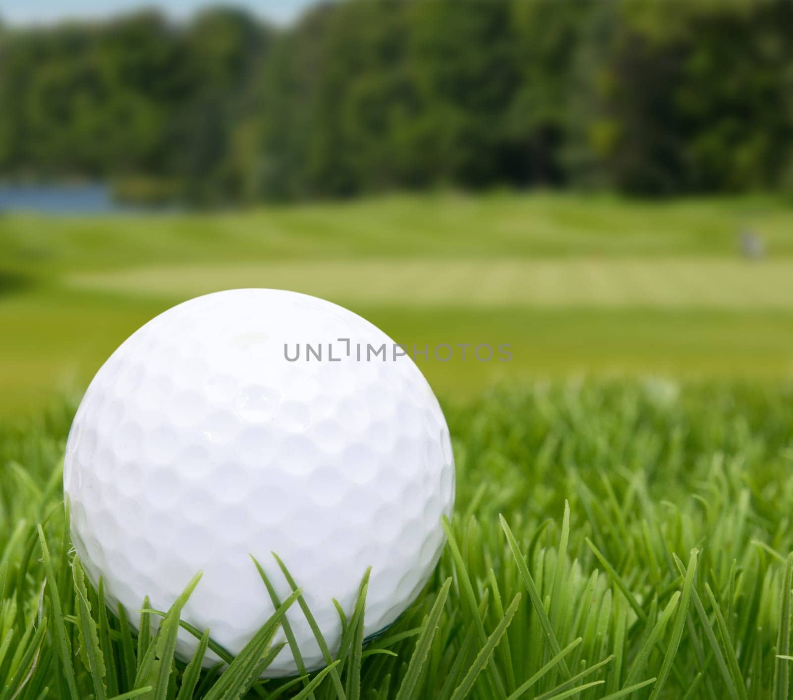Golf Ball in Grass -  Golf Course in Background