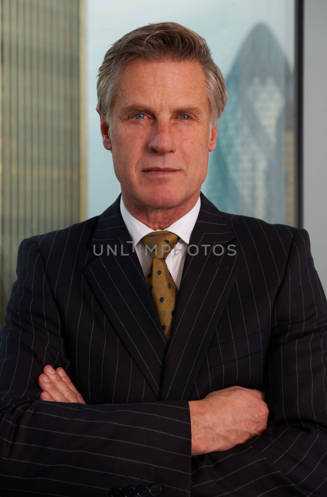 Portrait of a senior executive by a window looking at camera