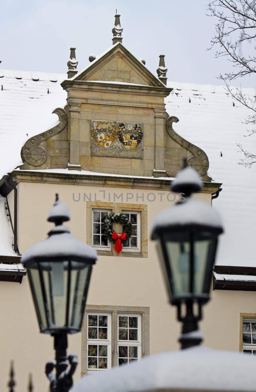 Alverdissen Castle in winter