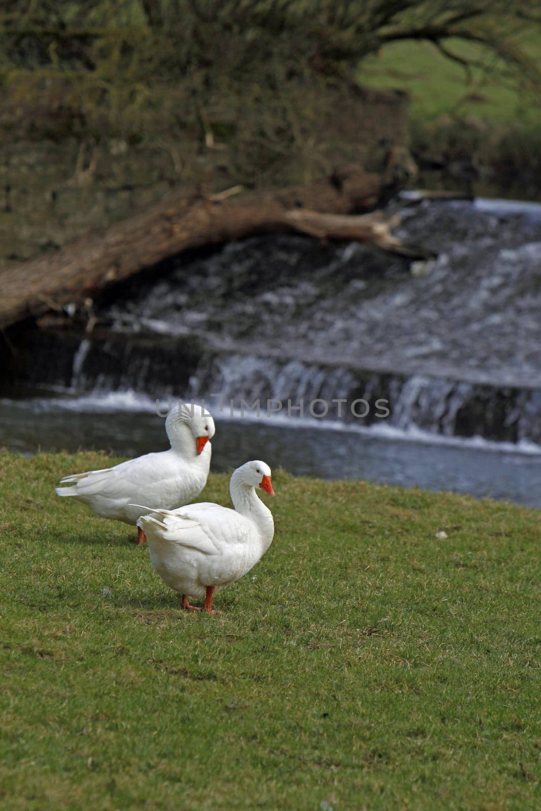 At the Emmer weir in Bad Pyrmont