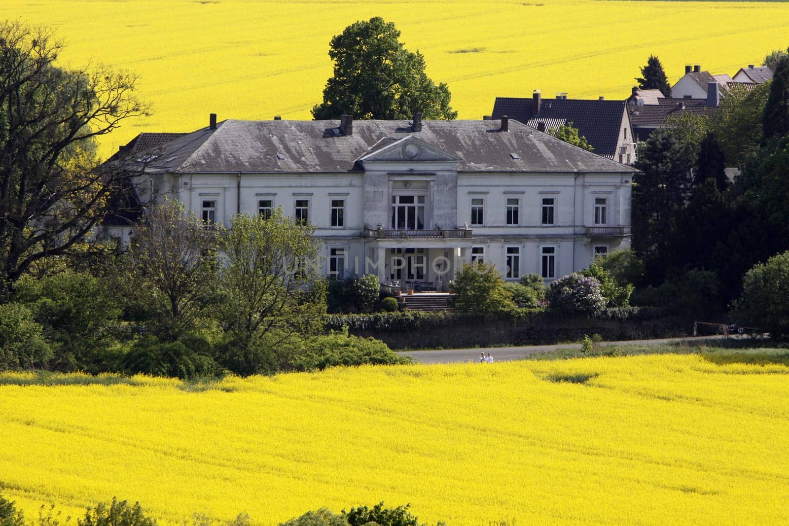 Ohr Manor