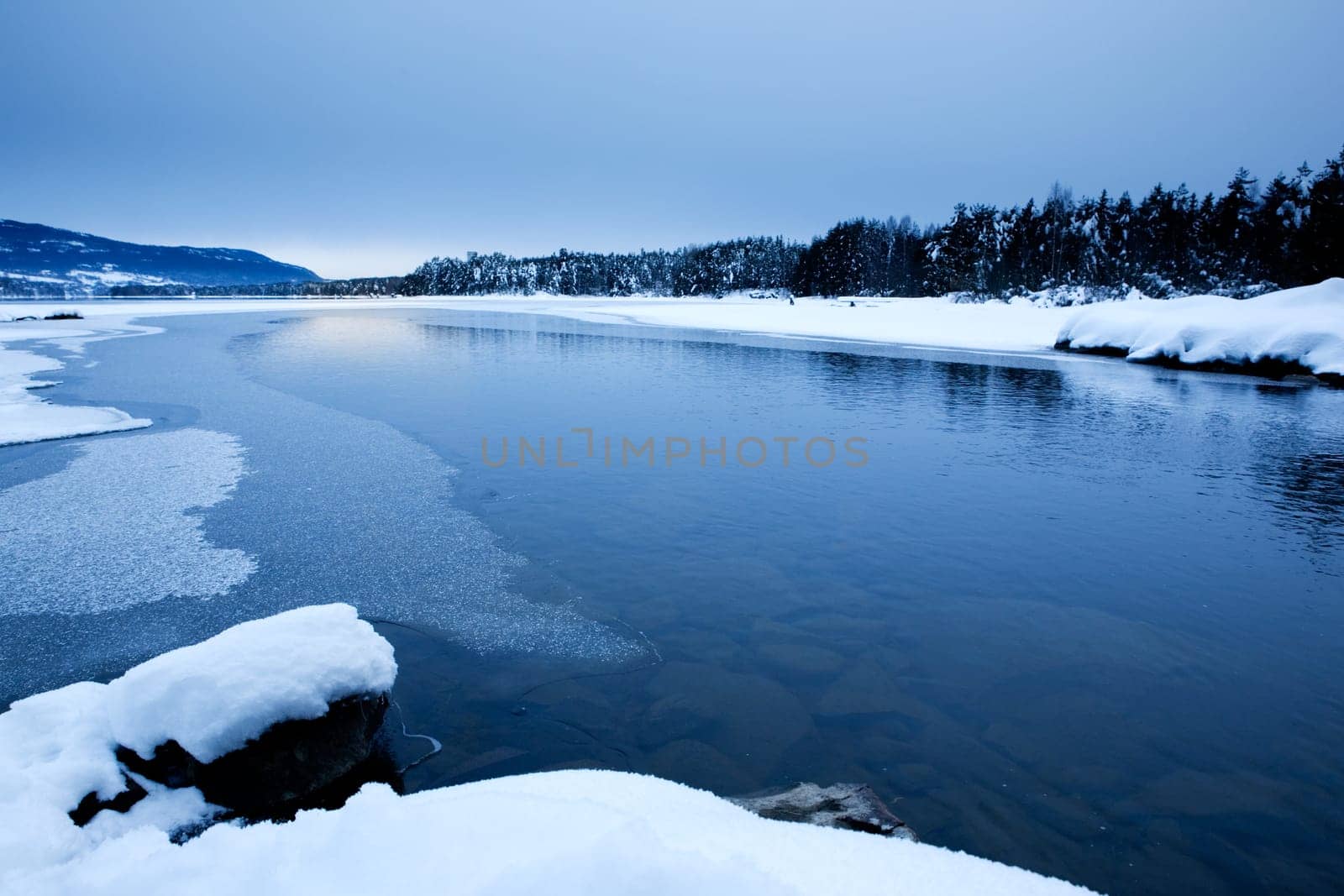 Winter Scene