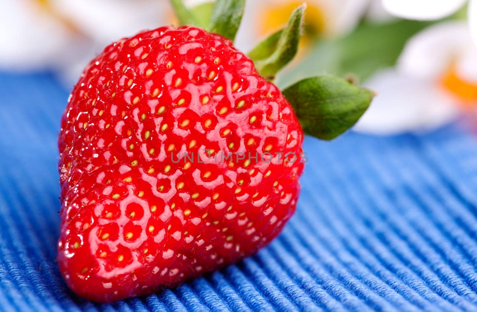 A strawberry on a blue table cloth in an outdoor setting