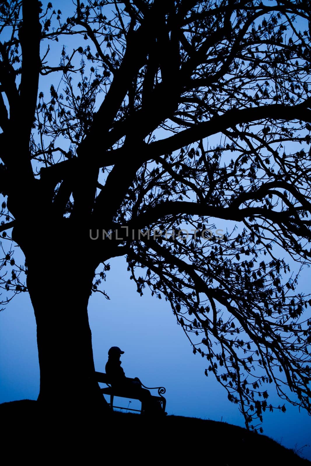 A person sitting alone on a bench
