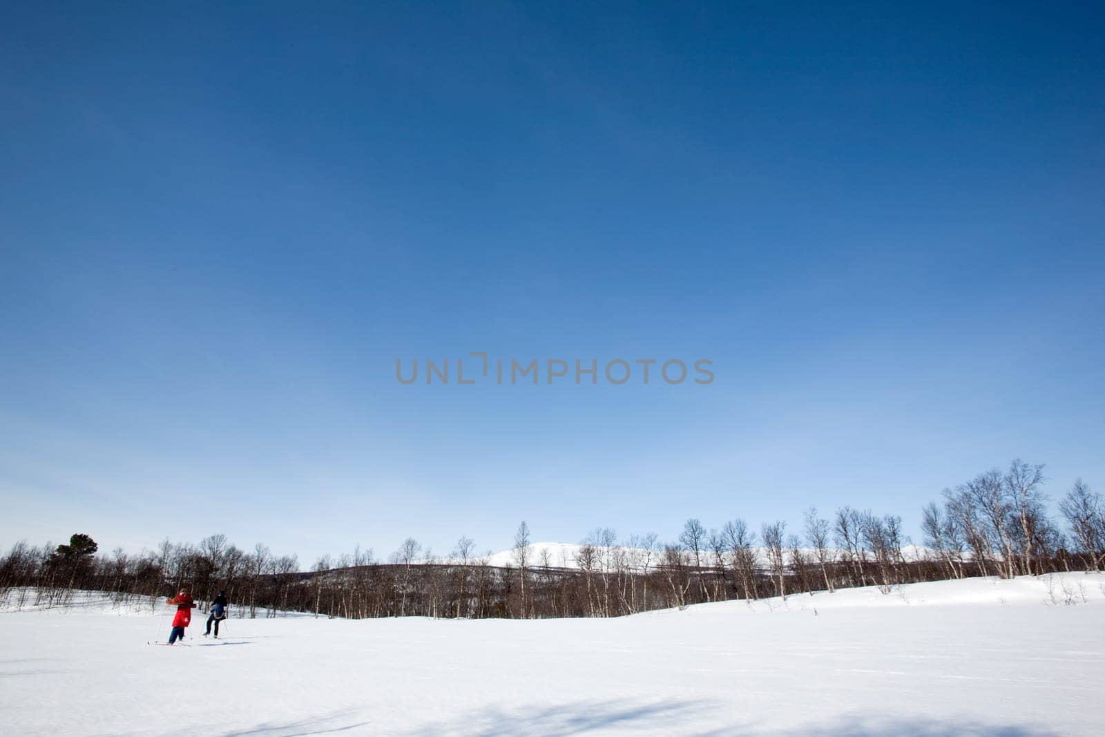 A winter landscape with two skiers skating on the snow