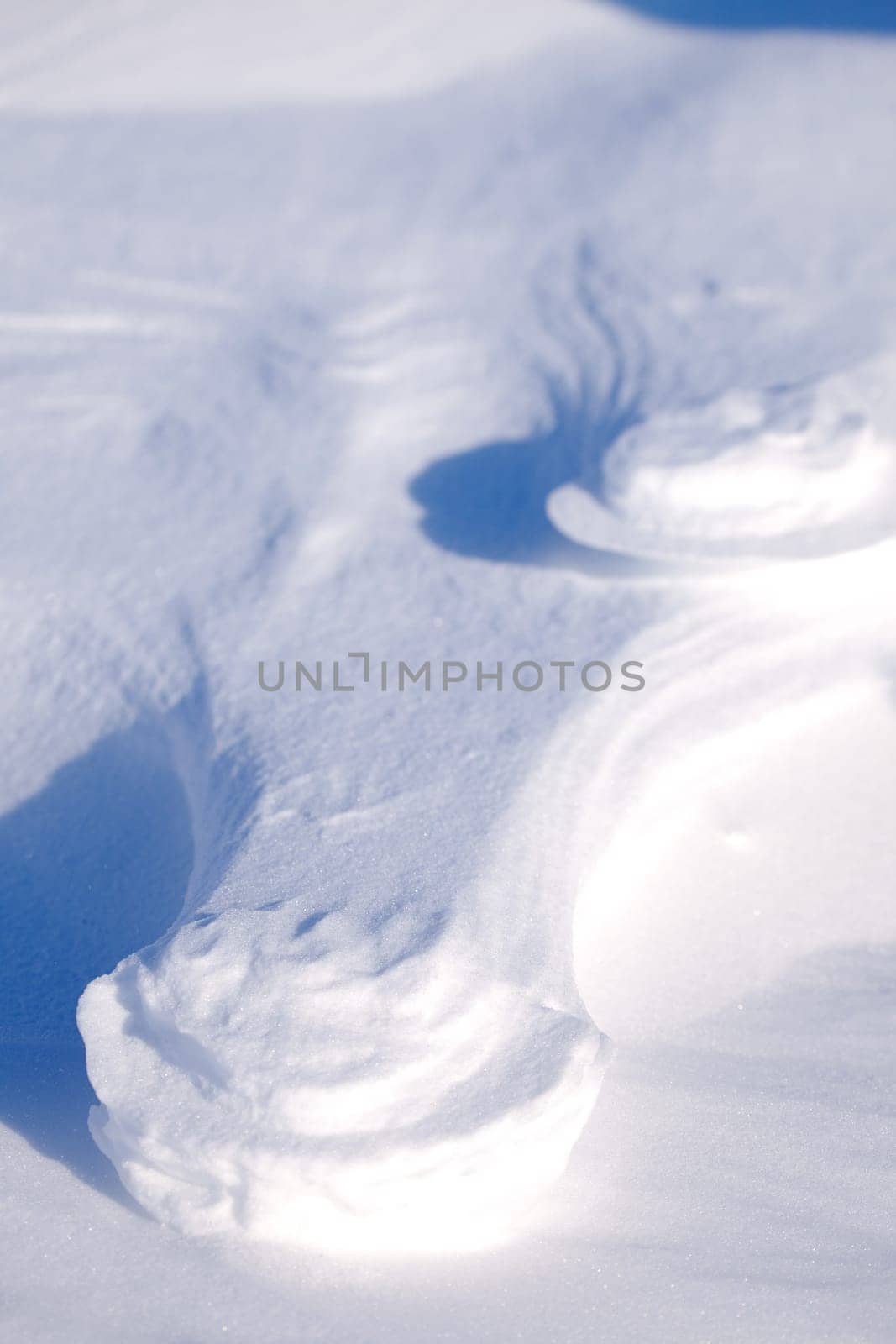 A polar bear track in the snow
