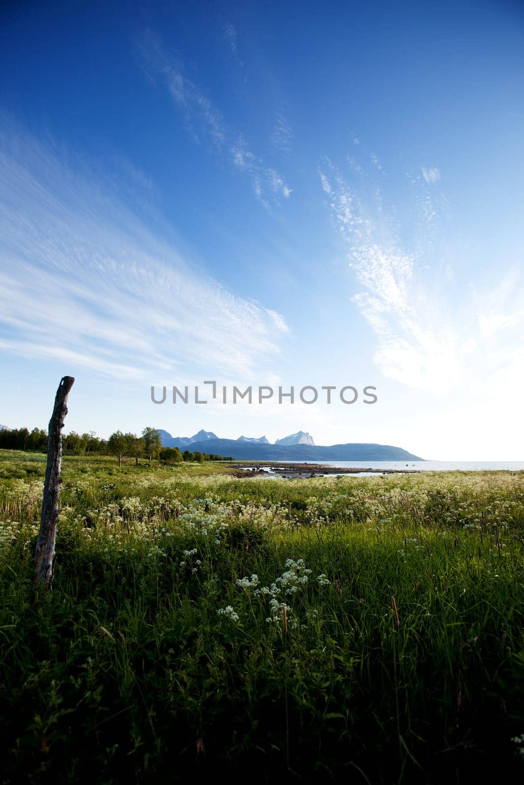 A landscape in northern Norway with grass, ocean and a mountain